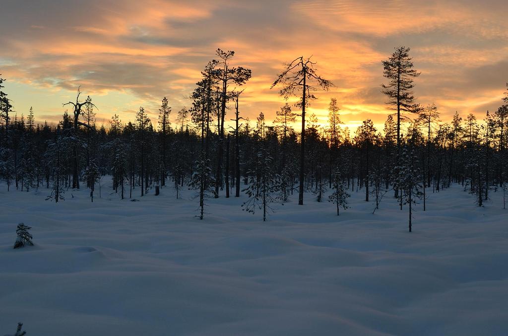 Lapland wilderness in Finland